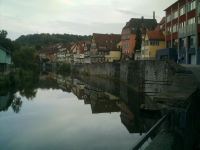 gudo - Bild 2