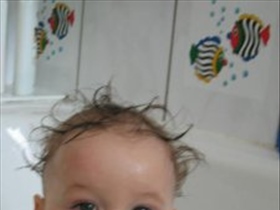 harry86 - Bild 3