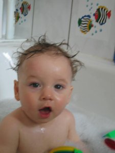 harry86 - Bild 3