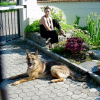 Sinistra - Bild 6