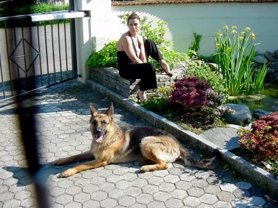 Sinistra - Bild 6