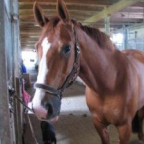 Lisa92 - Bild 2