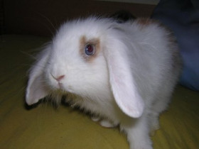 Sinaming - Bild 6