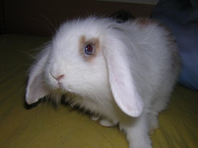 Sinaming - Bild 6