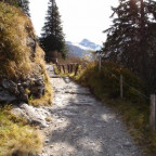 Hanspi - Bild 4