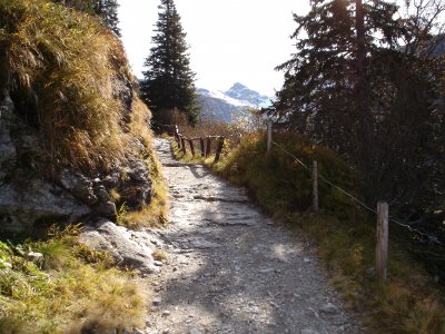 Hanspi - Bild 4