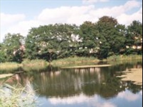 Myszykiszka - Bild 6