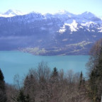 Flavia - Bild 5