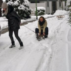 GilmoreGirl106 - Bild 3