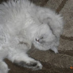 HungryEyes - Bild 10