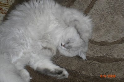 HungryEyes - Bild 10