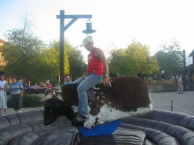 coachralf - Bild 3