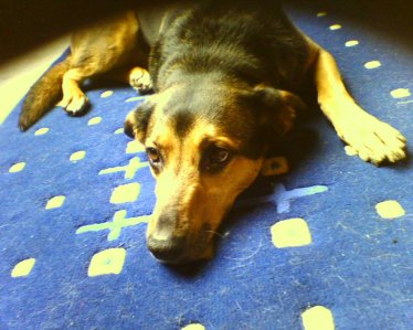 Kerschtin - Bild 2