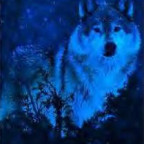 WolfHunter2004 - Bild 9