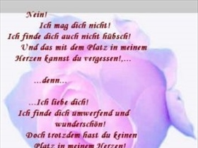 xsonnenscheinx12 - Bild 4