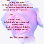 xsonnenscheinx12 - Bild 4
