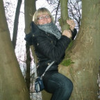 vilmute - Bild 5