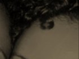 Candido - Bild 1