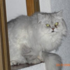 HungryEyes - Bild 9