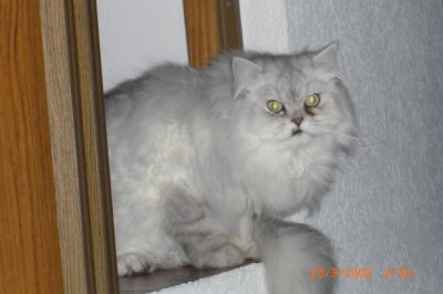 HungryEyes - Bild 9