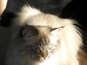 HungryEyes - Bild 11