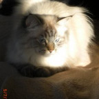 HungryEyes - Bild 11