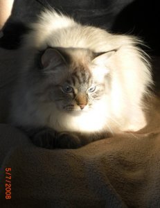HungryEyes - Bild 11