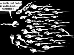 FSL2006 - Bild 6
