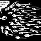 FSL2006 - Bild 6