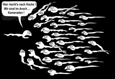FSL2006 - Bild 6