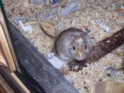 sweet_cindy - Bild 5
