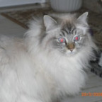 HungryEyes - Bild 8