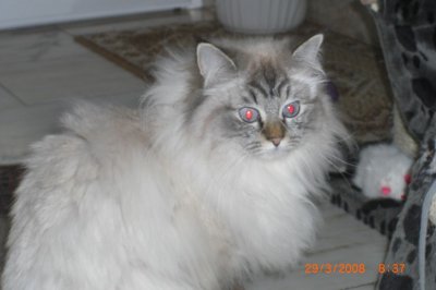 HungryEyes - Bild 8