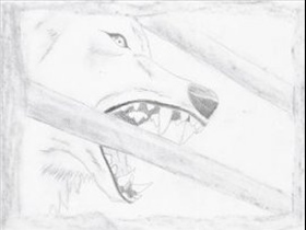 Cael - Bild 10