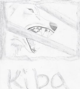 Cael - Bild 10