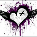 Nevio_Fan13 - Bild 3