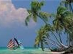 markron83 - Bild 9