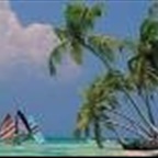 markron83 - Bild 9