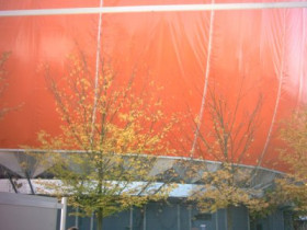 Celebration - Bild 7