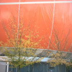 Celebration - Bild 7