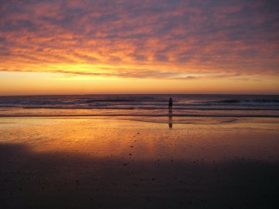 mohnbroetchen - Bild 7