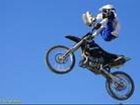 BlueEysDevils - Bild 2