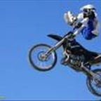 BlueEysDevils - Bild 2