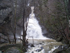 ock - Bild 2