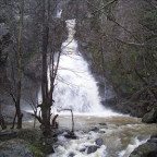 ock - Bild 2