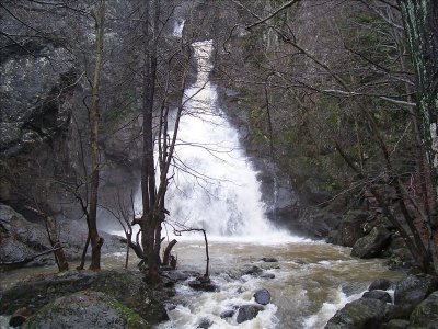 ock - Bild 2