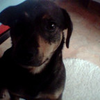 Ivonne22 - Bild 3