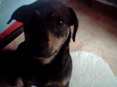 Ivonne22 - Bild 3