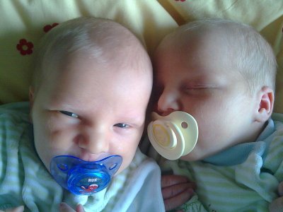 brianmieze09 - Bild 2