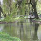 Alexej - Bild 5